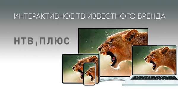 Новая услуга: вам доступно телевидение НТВ-ПЛЮС ТВ!